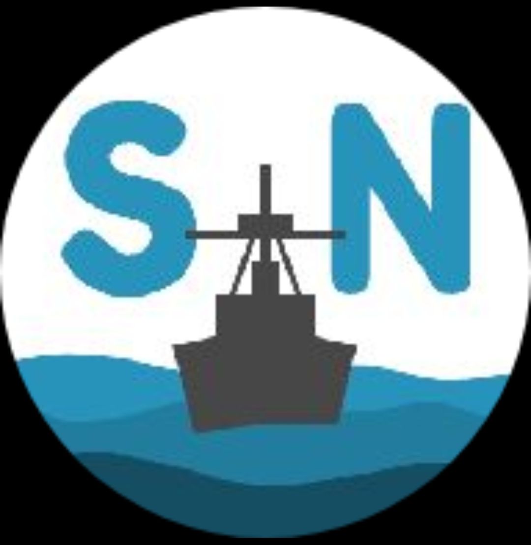 Simple NAVY Logo